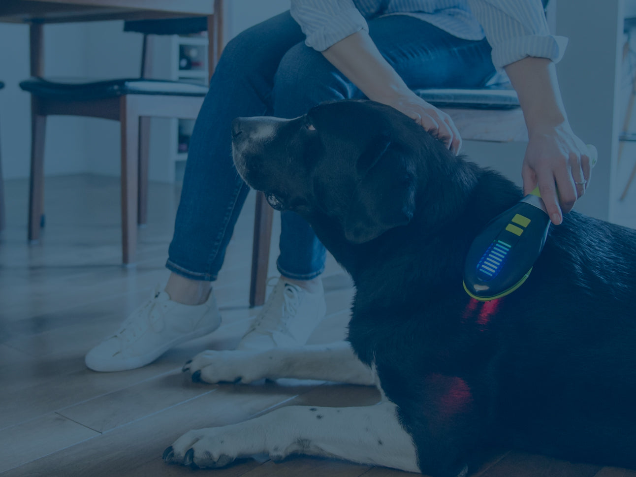 Dog Med Laser: The ONLY low-level medical laser therapy device certified for home treatments specially designed for dogs and cats.