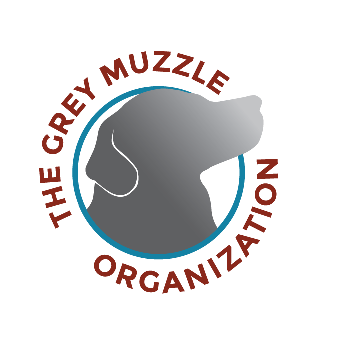 Grey Muzzle organisation recommend the Dog Med Laser